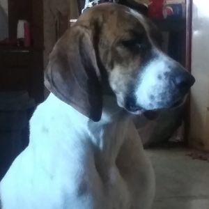 Meet your Posher, Colby